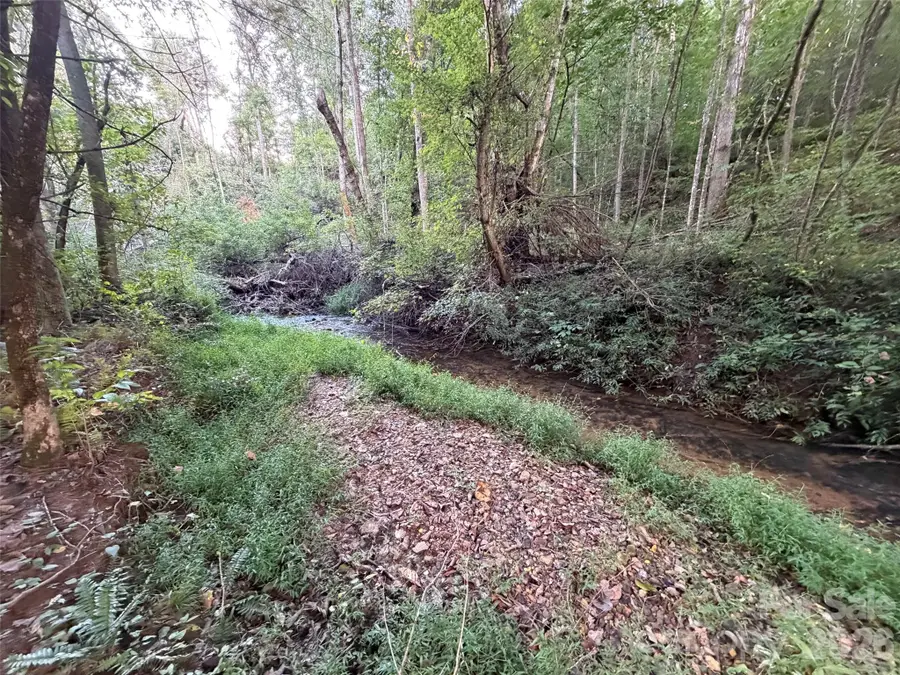 V/L Vein Mountain Road, Nebo, NC 28761 - #3