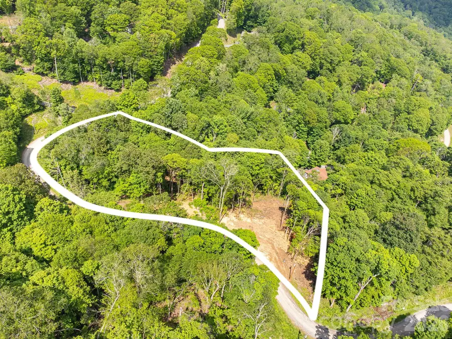 464 Mayapple Lane #71 & 72, Mars Hill, NC 28754 - #2
