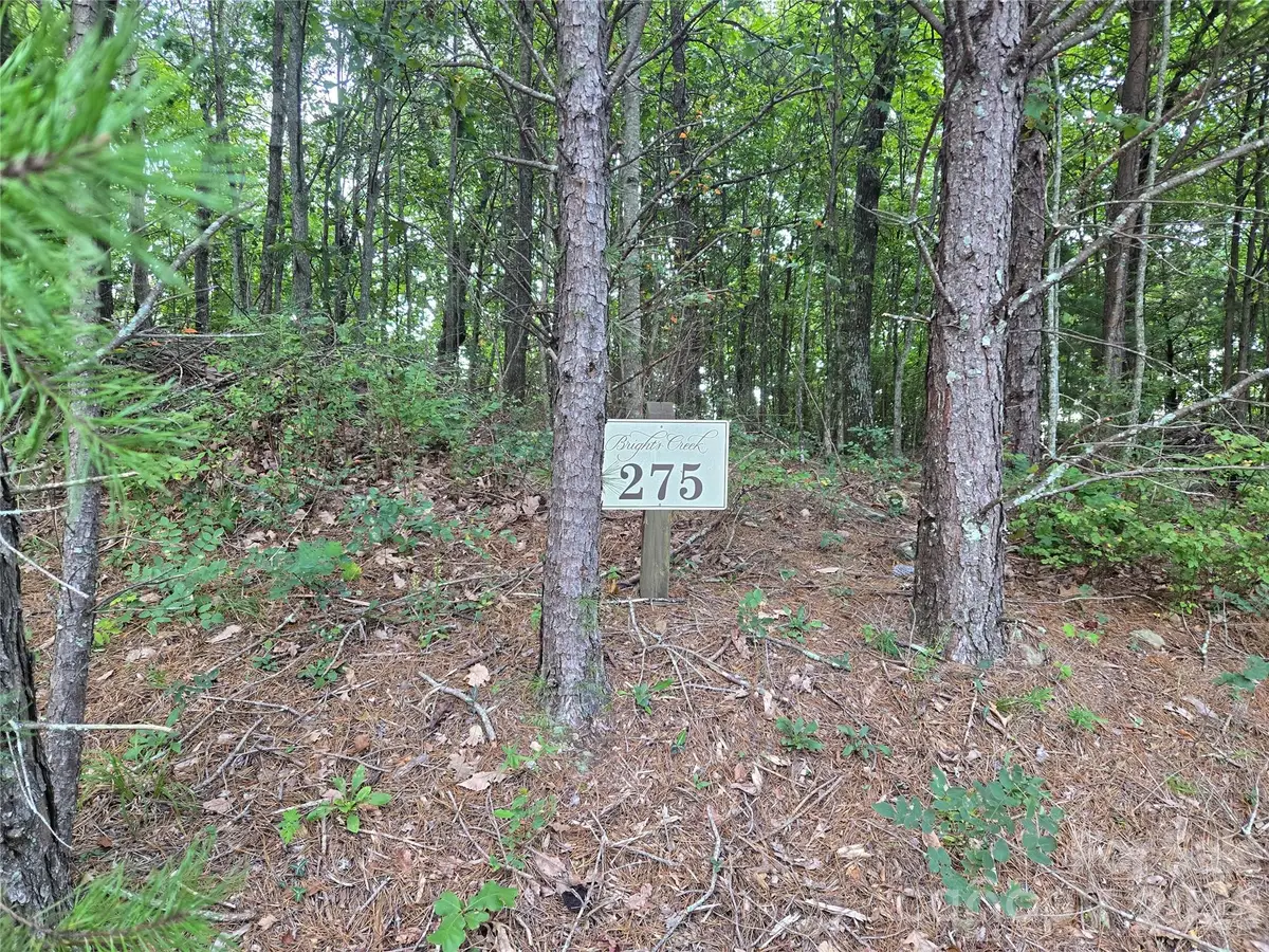 275 Kincaid Place #275, Mill Spring, NC 28756 - #1