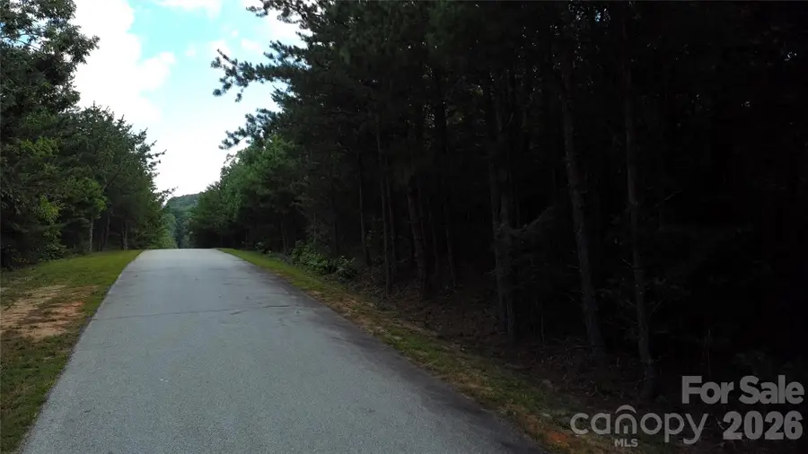 275 Kincaid Place #275, Mill Spring, NC 28756 - #2