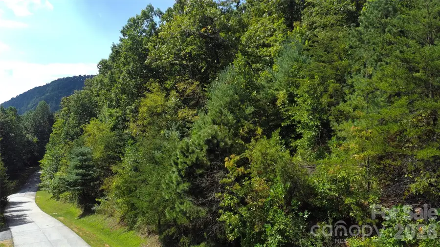 275 Kincaid Place #275, Mill Spring, NC 28756 - #3