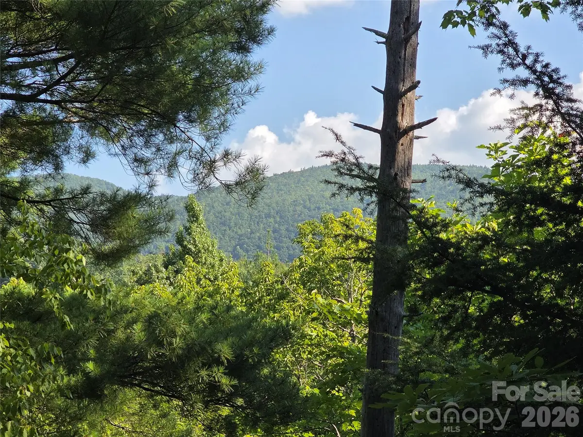 Lot 14B,15B Sequoyah Circle, Marion, NC 28752 - #1