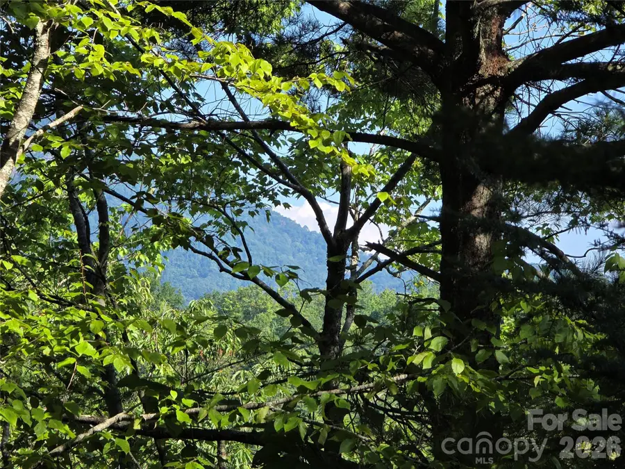 Lot 14B,15B Sequoyah Circle, Marion, NC 28752 - #3