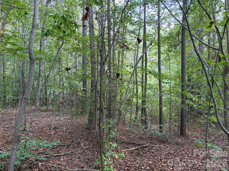 0 Silver Trail, Morganton, NC 28655 - #3