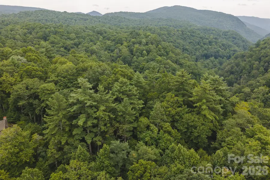 0 Rebel Run, Marion, NC 28752 - #2
