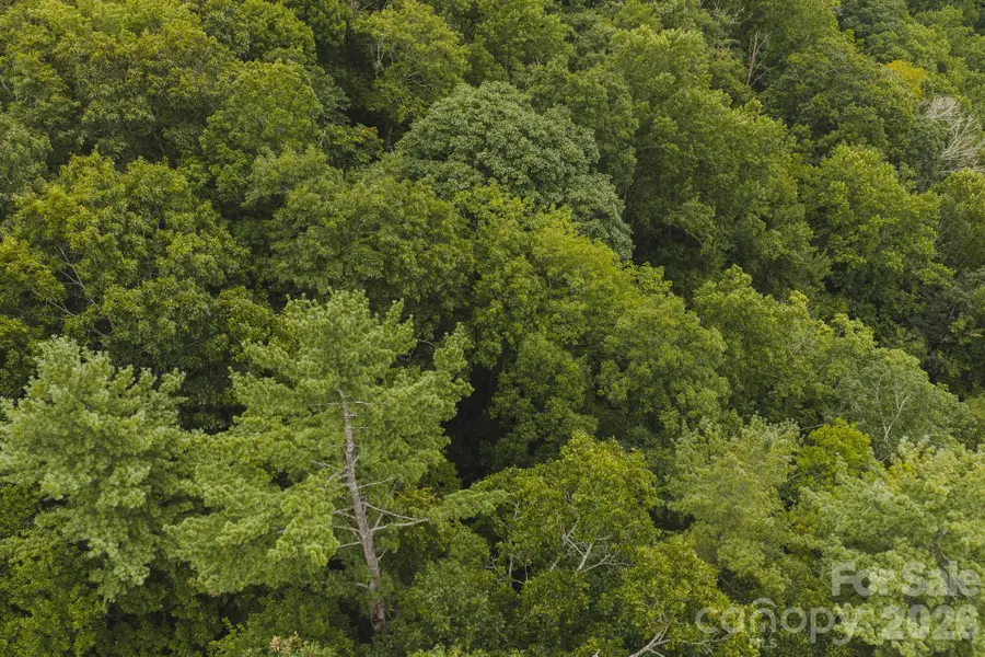 0 Rebel Run, Marion, NC 28752 - #3