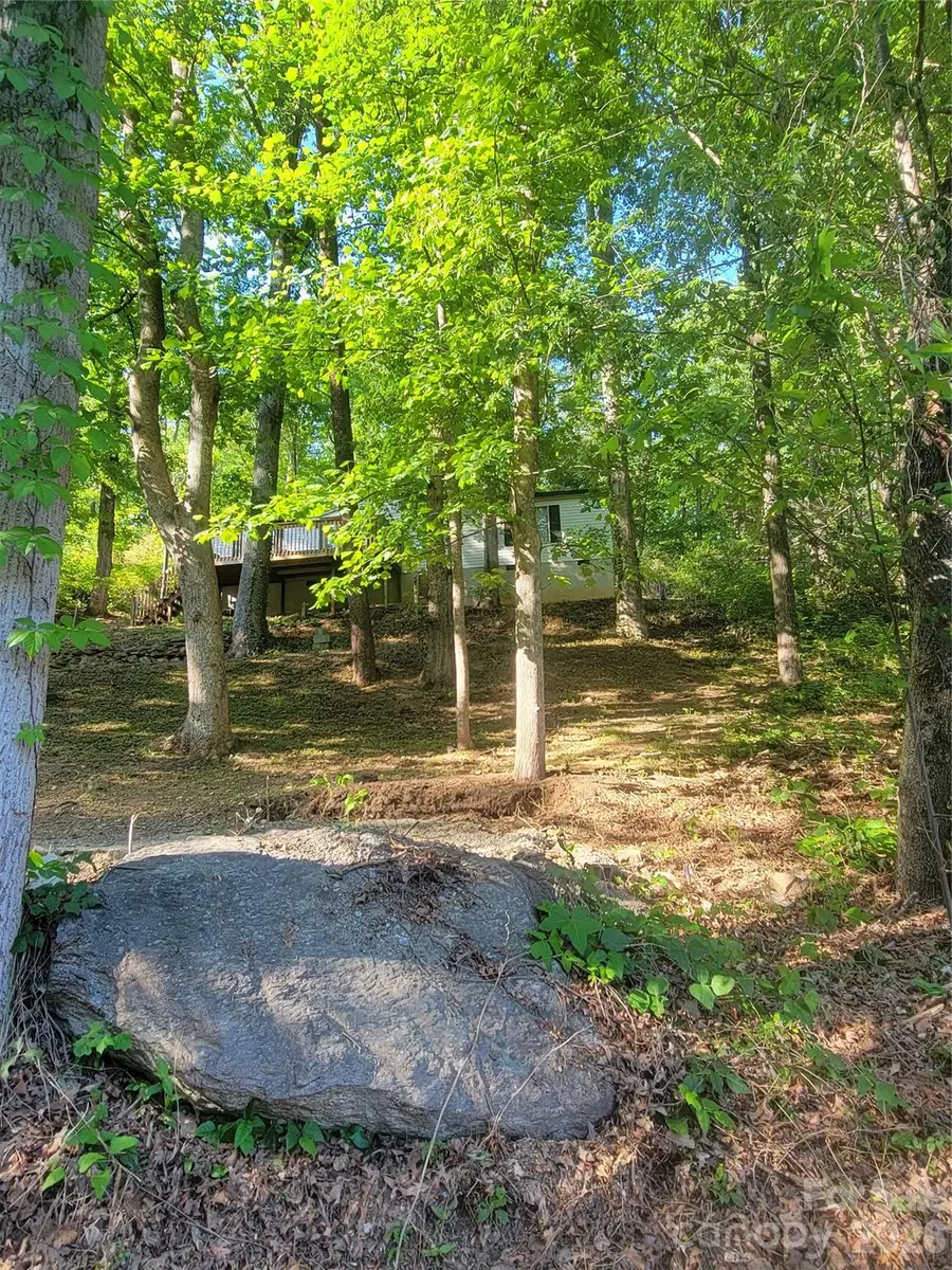 138 Buddy Lane, Chimney Rock, NC 28720 - #2