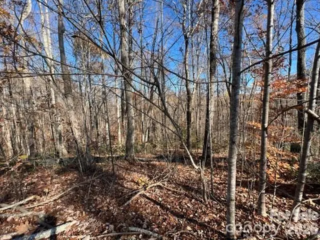TBD Trail Ridge Drive #113, Marion, NC 28752 - #1