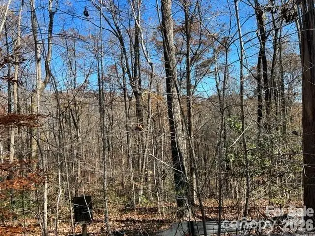 TBD Trail Ridge Drive #113, Marion, NC 28752 - #2
