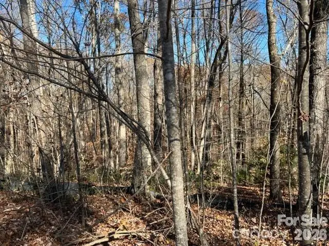 TBD Trail Ridge Drive #113, Marion, NC 28752 - #3