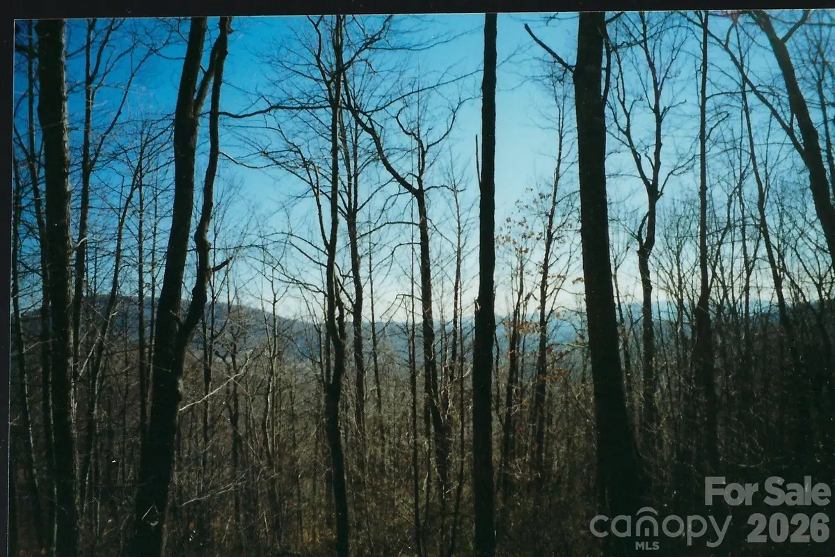 Lot #35 Damselfly Court, Spruce Pine, NC 28777 - #1