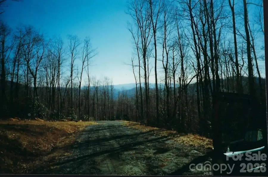 Lot #35 Damselfly Court, Spruce Pine, NC 28777 - #2