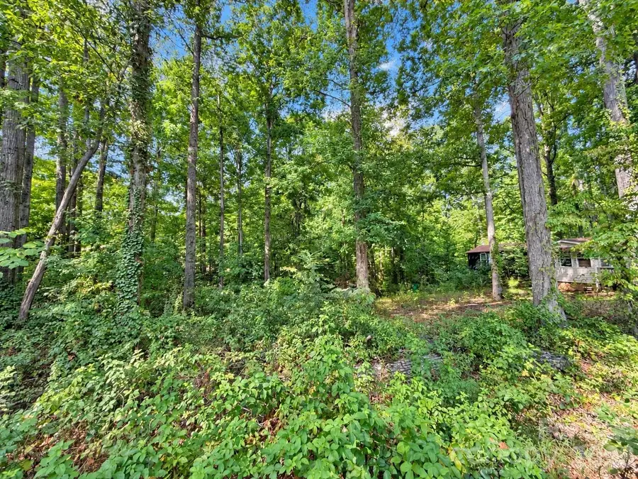 4235 Eagle Chase Drive, Charlotte, NC 28216 - #3