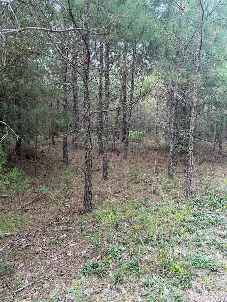 00 Pleasant Grove Church Road, Wadesboro, NC 28170 - #2