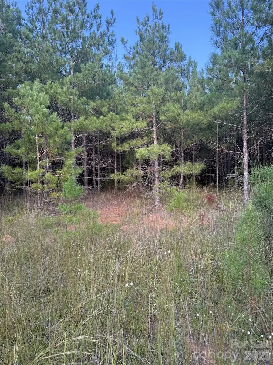 00 Pleasant Grove Church Road, Wadesboro, NC 28170 - #3