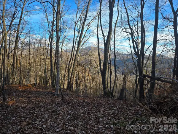 0000 Brasstown Road, Cullowhee, NC 28723