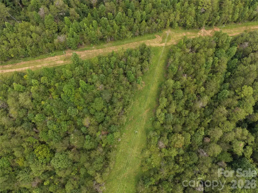 711 Pine Cove Road, Taylorsville, NC 28681 - #2