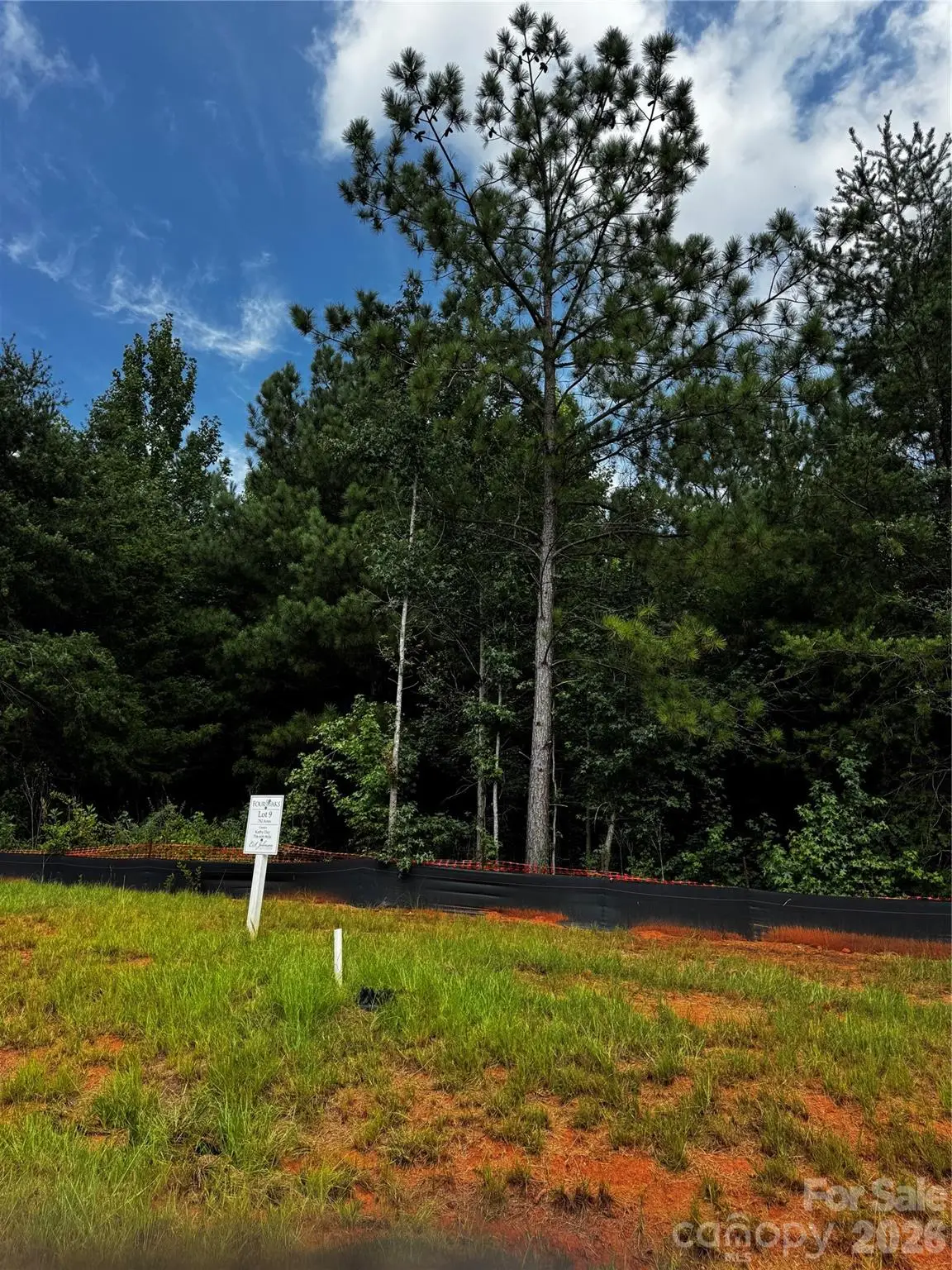 7443 Kates Grove Way, Huntersville, NC 28078 - #1