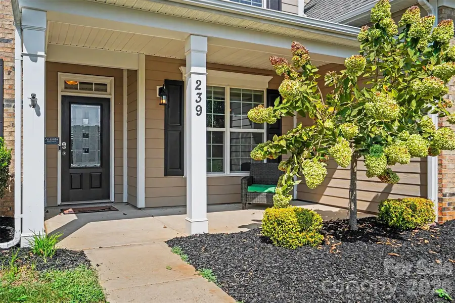 239 Bushney Loop, Mooresville, NC 28115 - #3