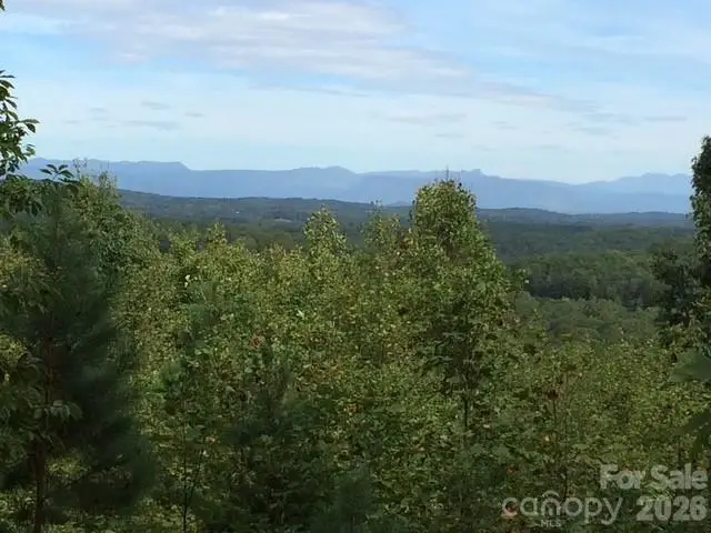 113 Meditation Ridge Drive, Nebo, NC 28761 - #1