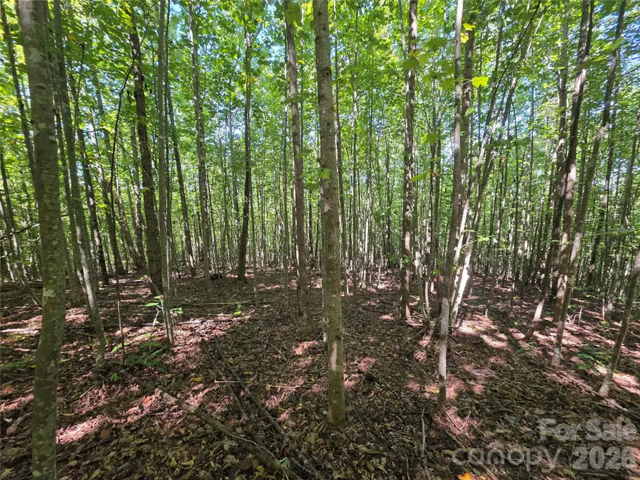 113 Meditation Ridge Drive, Nebo, NC 28761 - #2