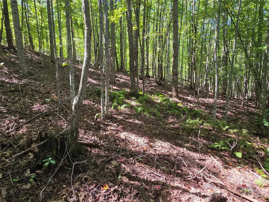 19 Meditation Ridge Drive, Nebo, NC 28761 - #2