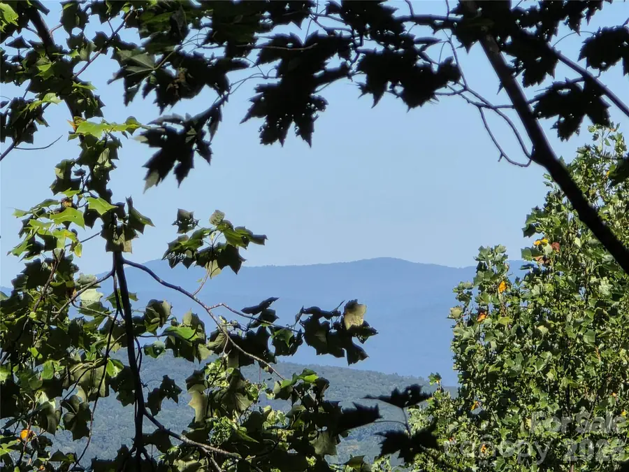 19 Meditation Ridge Drive, Nebo, NC 28761 - #3