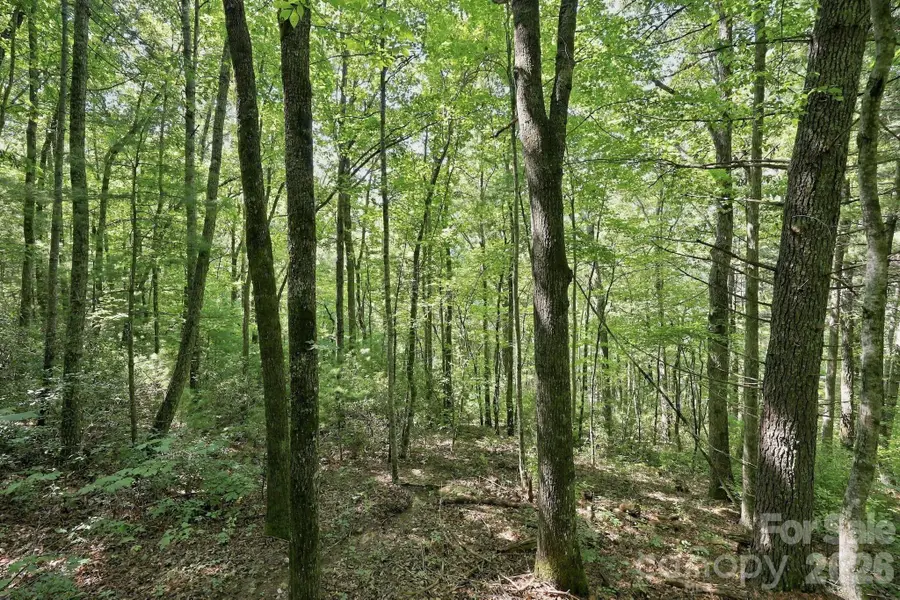 LOT 6 Highlands Gate Drive, Highlands, NC 28741 - #2