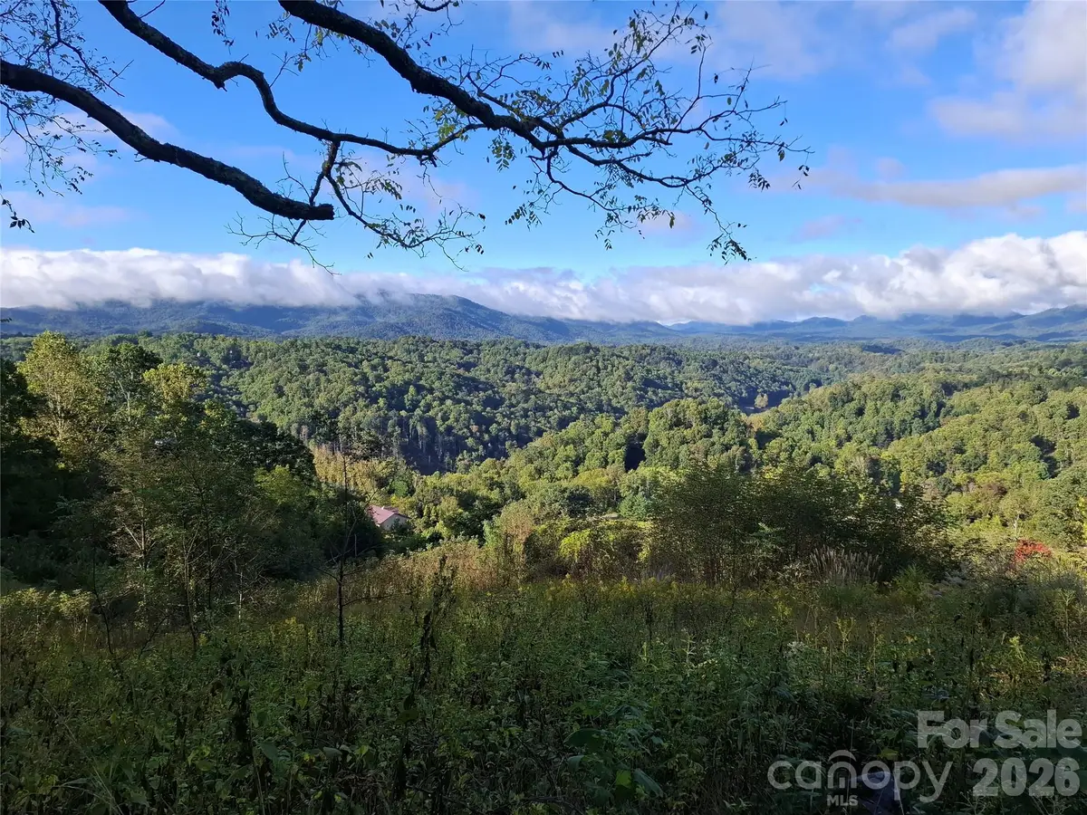 310 Sunset Mountain #11, Bakersville, NC 28705 - #1