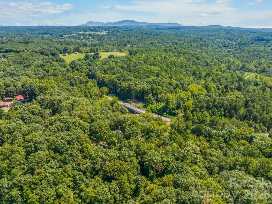 144 Cliff Side Trail, Pilot Mountain, NC 27041 - #3