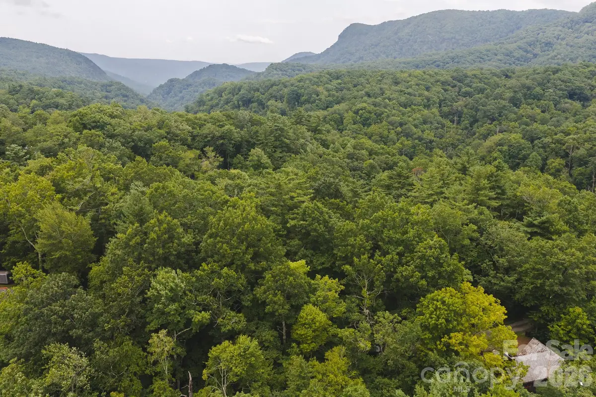 TBD Yankee Run, Marion, NC 28752 - #1