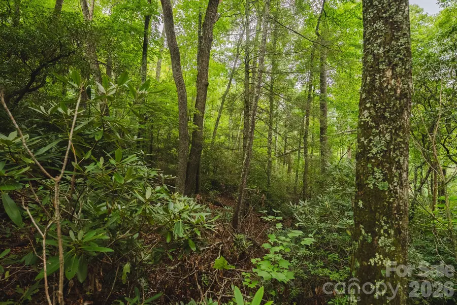 TBD Yankee Run, Marion, NC 28752 - #3