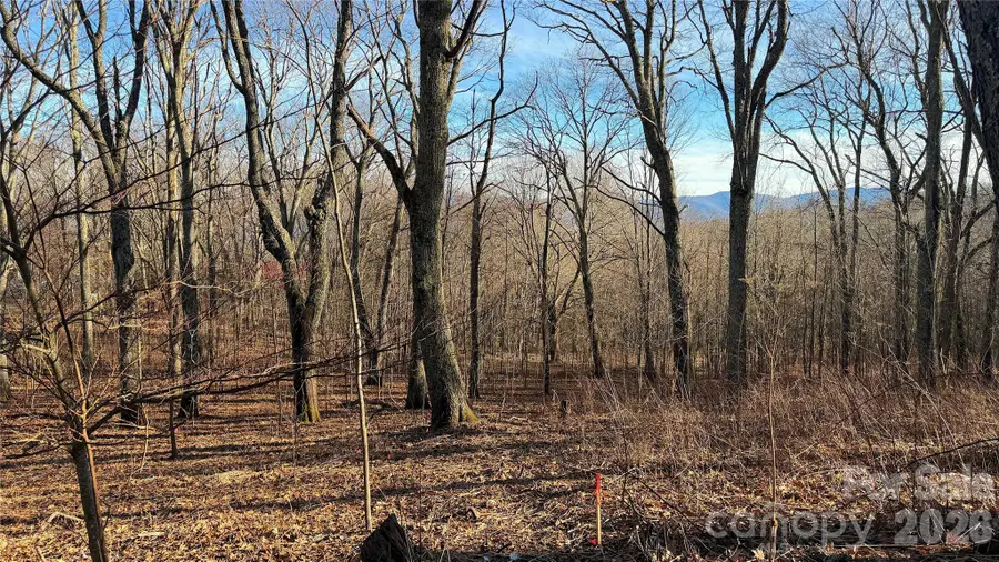 114 Eagle View Circle, Waynesville, NC 28786 - #2