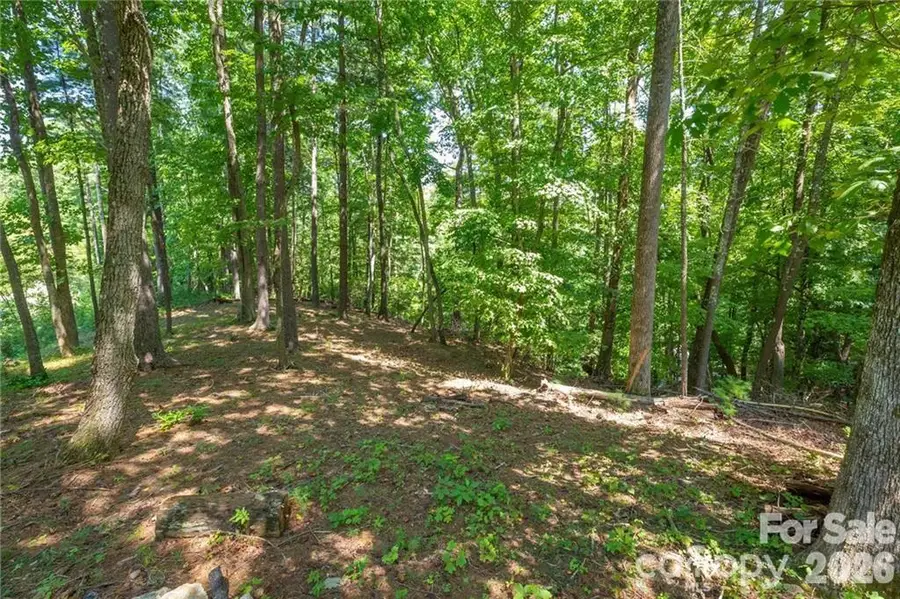 8520 Indian Trace, Nebo, NC 28761 - #2