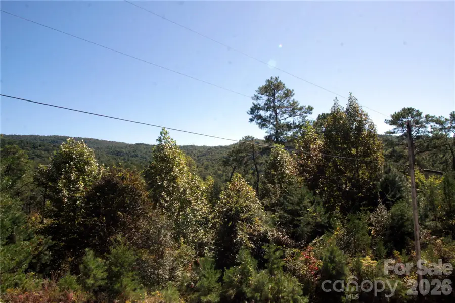Lot 25 Round Mountain Road #25, Brevard, NC 28712 - #3