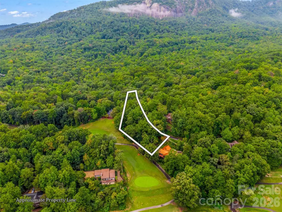 00 Huntington Road, Lake Lure, NC 28746 - #2