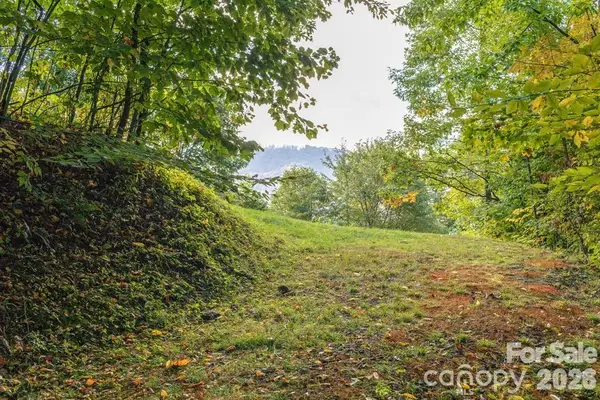 Lot 2 Ball Hooter Road #2/6, Burnsville, NC 28714