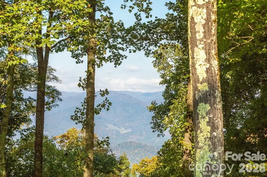 Lot 2 Ball Hooter Road #2/6, Burnsville, NC 28714 - #3