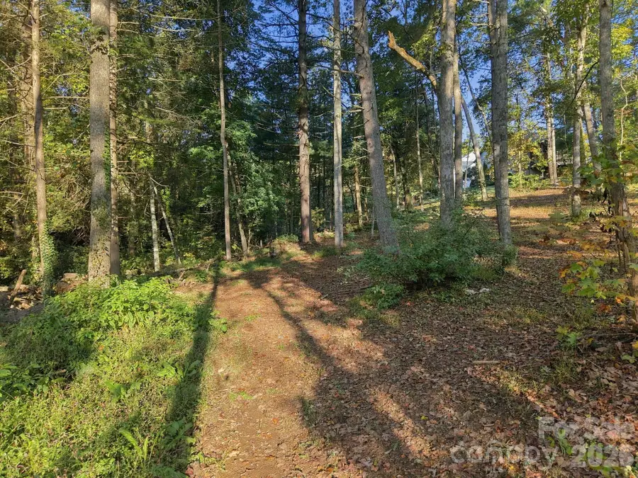 99999 Cane Creek Road, Fletcher, NC 28732 - #2