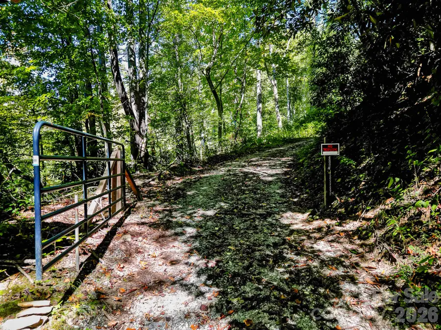 172 Rocky Top Ridge Drive, Fletcher, NC 28732 - #3