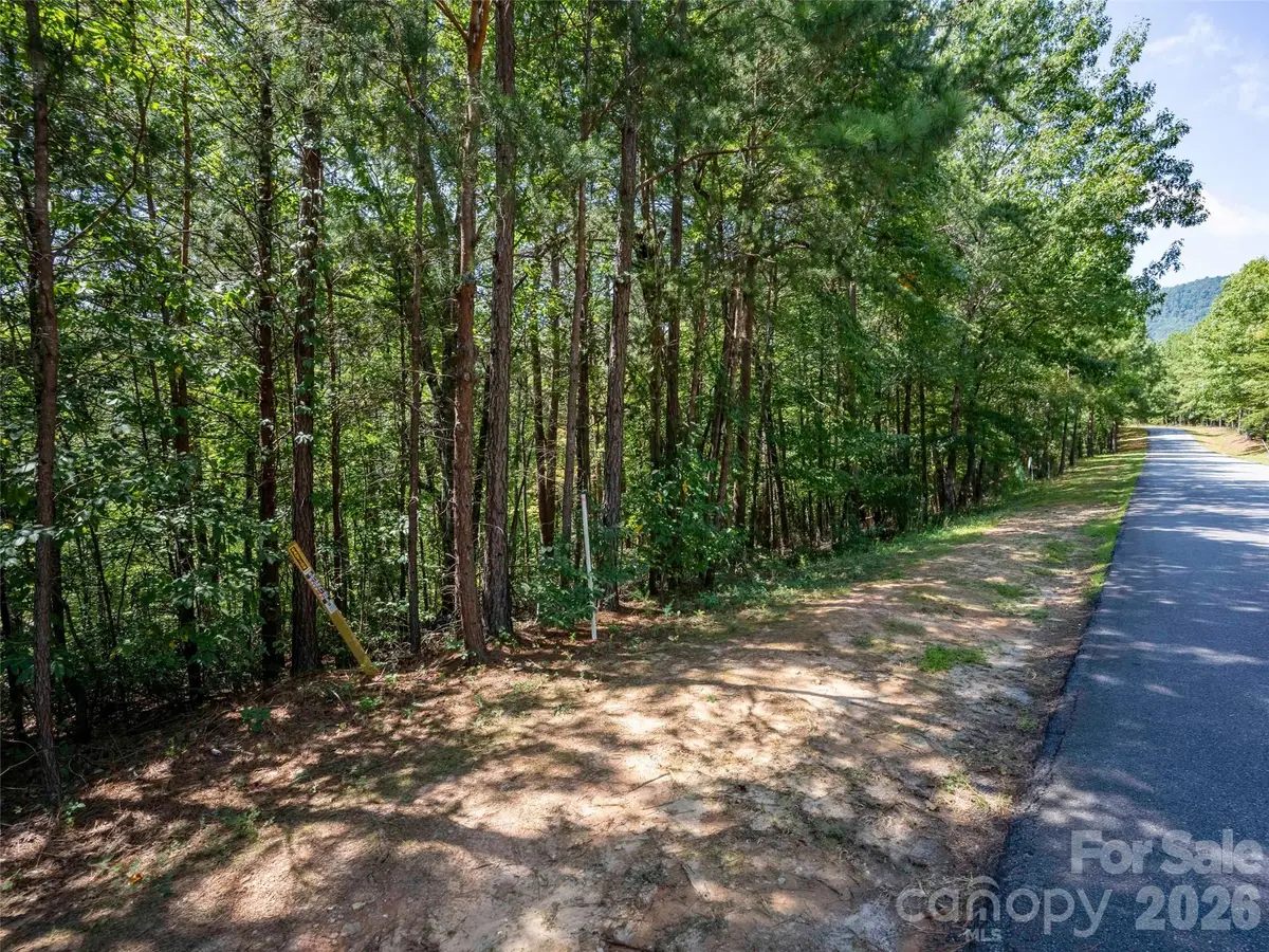 Lot 2010 Deep Gap Farm None W, Mill Spring, NC 28756 - #1