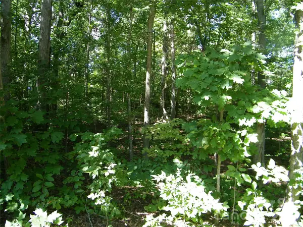 0 Chippewa Trail, China Grove, NC 28023