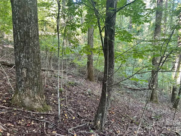 573 Solomon Circle #34, Hendersonville, NC 28739