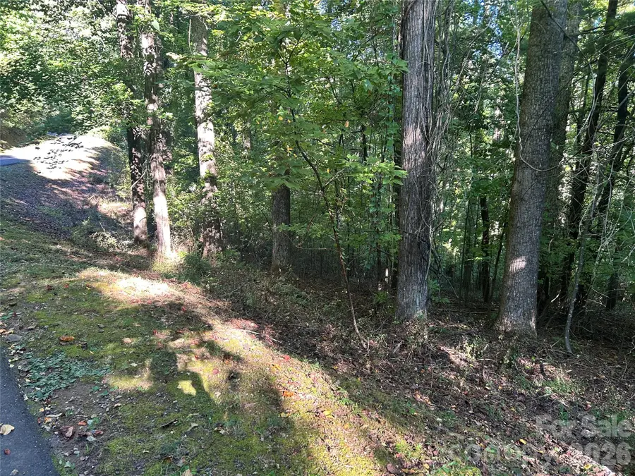 573 Solomon Circle #34, Hendersonville, NC 28739 - #3