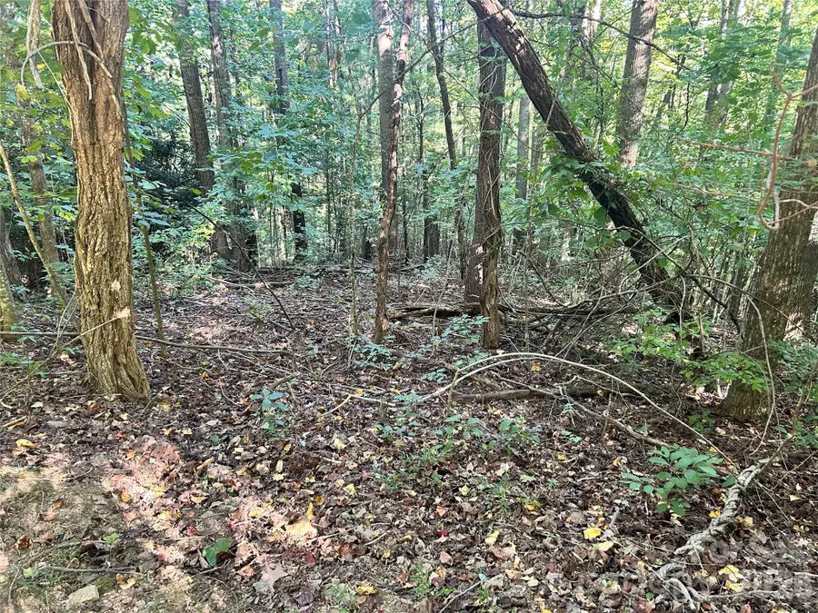 TBD Mt Hebron Road #36, Hendersonville, NC 28739 - #2