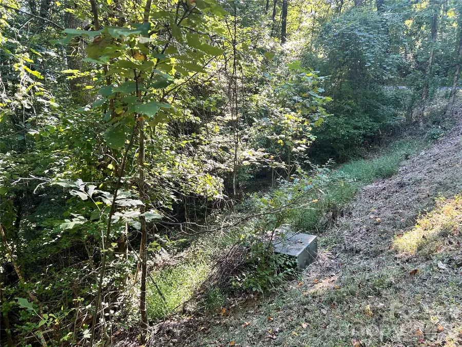 TBD Mt Hebron Road #36, Hendersonville, NC 28739 - #3