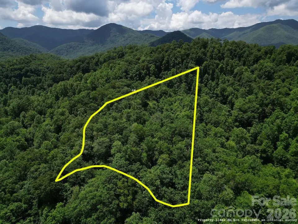 Lot 55 Black Rock Road #55, Qualla, NC 28719 - #1