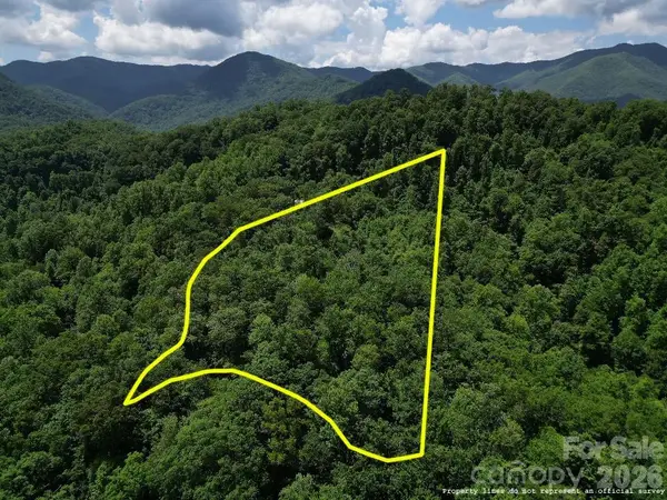 Lot 55 Black Rock Road #55, Qualla, NC 28719