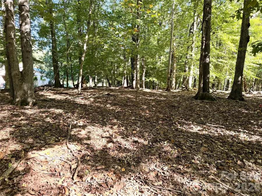 Lot 2 Lochaven Road, Waxhaw, NC 28173 - #3