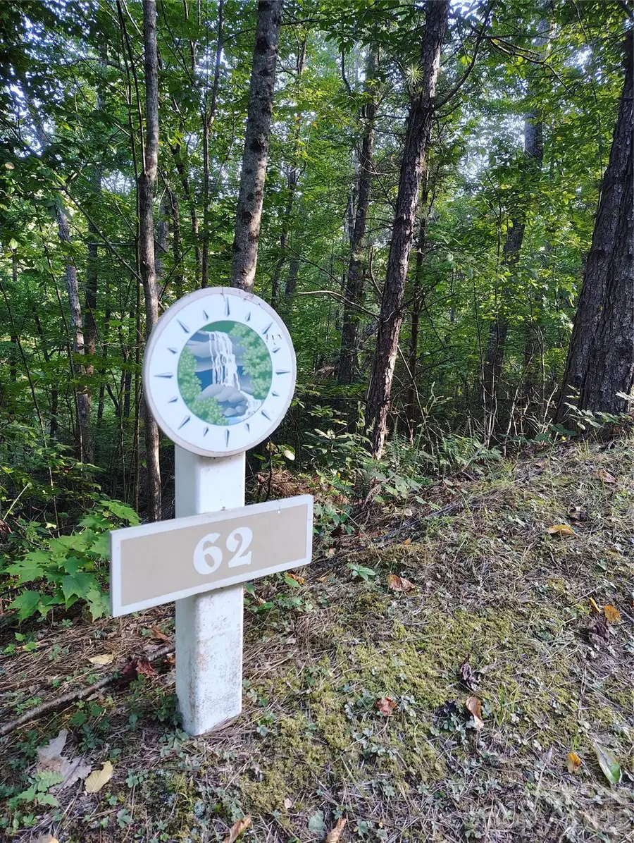 0000 Cheyenne Falls Trail #62, Old Fort, NC 28762 - #2